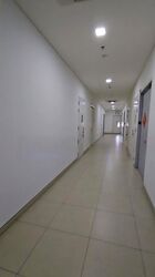One Pemimpin (D20), Factory #556897271